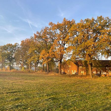 Eichenhof Hotel Garni Groß Köris Kültér fotó