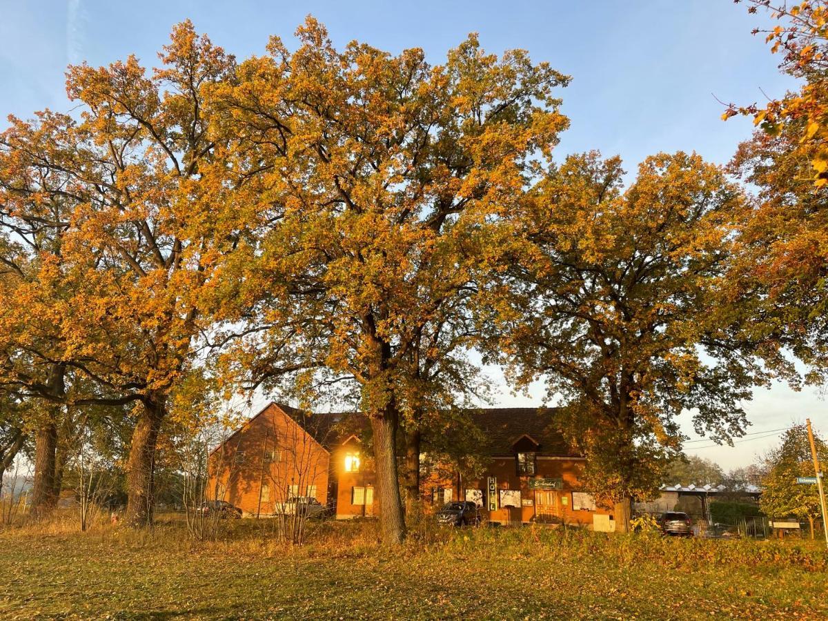 Eichenhof Hotel Garni Groß Köris Kültér fotó