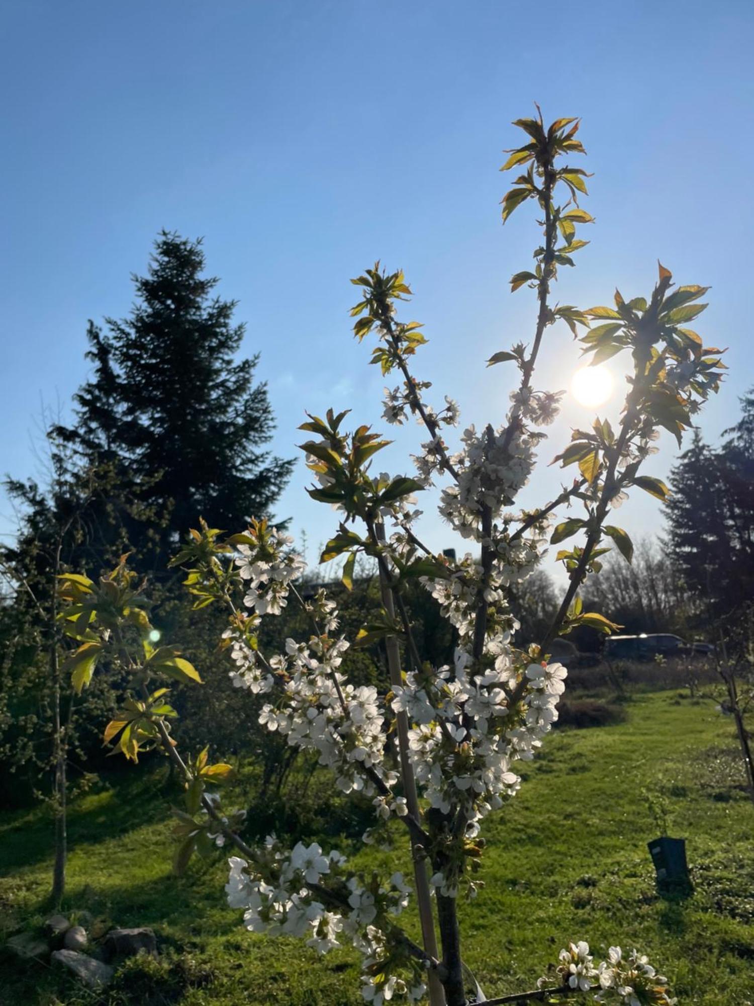 Eichenhof Hotel Garni Groß Köris Kültér fotó