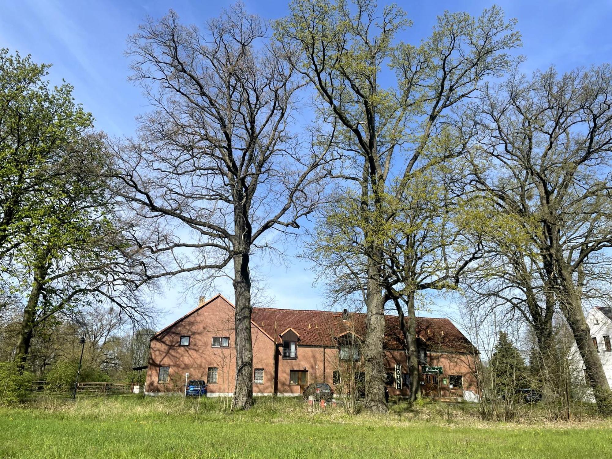 Eichenhof Hotel Garni Groß Köris Kültér fotó